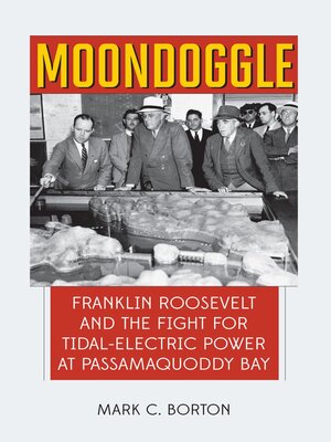 cover image of Moondoggle